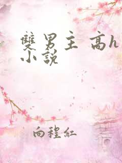 双男主 高h 小说