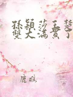 孙颖莎王楚钦混双大满贯了吗