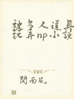 被多人道具调教玩弄np小说