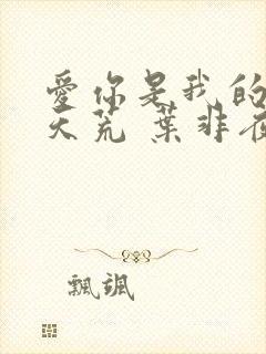 爱你是我的地老天荒 叶非夜