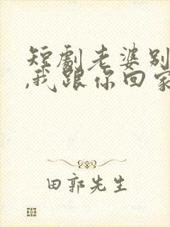 短剧老婆别追了,我跟你回家