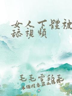 女人下体被男人舔视频