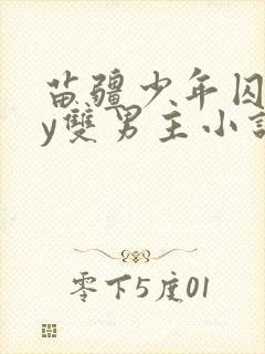 苗疆少年囚禁by双男主小说