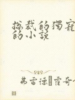 总裁的独宠甜妻的小说