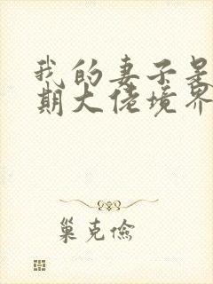 我的妻子是大乘期大佬境界