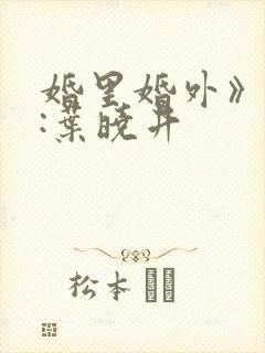 婚里婚外》作者:叶晓井