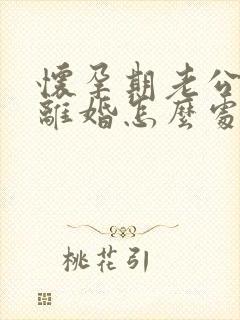 怀孕期老公出轨离婚怎么处理