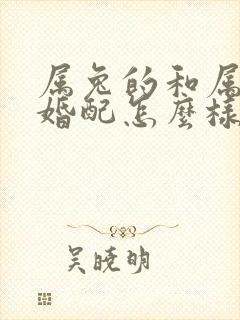 属兔的和属马的婚配怎么样