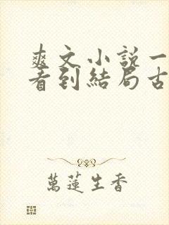 爽文小说一口气看到结局古言