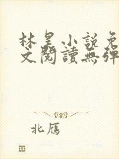 林昊小说免费全文阅读无弹窗
