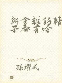 断舍离的精髓句子都有啥