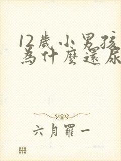 12岁小男孩儿为什么还尿床