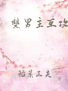 双男主互攻双性