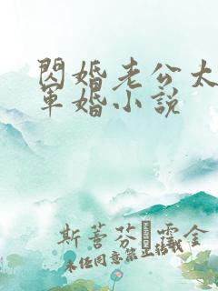 闪婚老公太抢手军婚小说