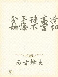 分手后高冷校花她悔不当初完整版