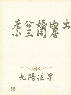 老公婚内出轨跟小三同居