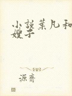 小说叶凡和七个嫂子