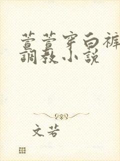 萱萱穿白裤袜被调教小说