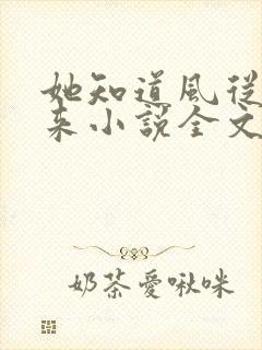 她知道风从哪里来小说全文免费阅读