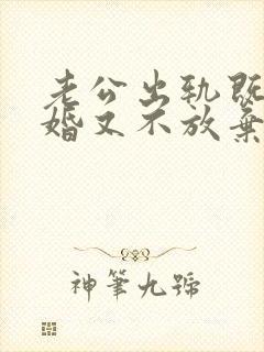 老公出轨既不离婚又不放弃小三