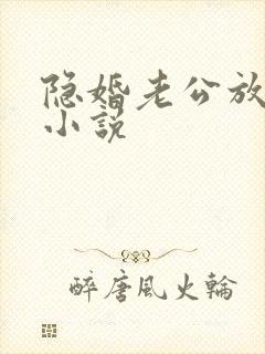 隐婚老公放肆宠小说