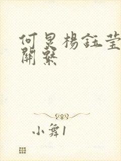 何炅杨钰莹什么关系