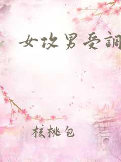 女攻男受调教文