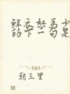 鲜衣怒马少年时的下一句是什么