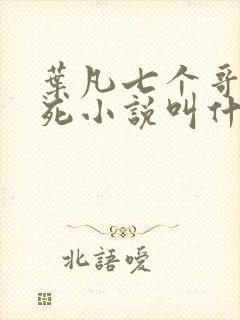 叶凡七个哥哥战死小说叫什么名