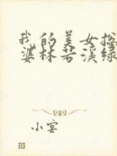 我的美女总裁老婆林若溪绿帽版