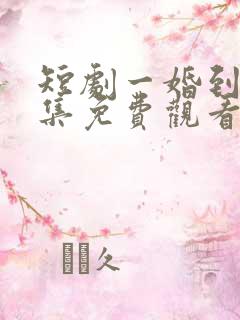 短剧一婚到底全集免费观看