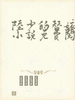 陆少的替嫁宠妻小说免费阅读