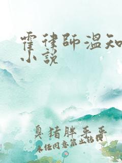 霍律师温知羽的小说