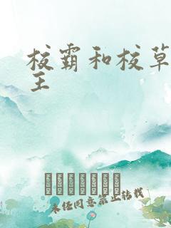 校霸和校草双男主