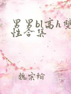 男男bl高h双性合集