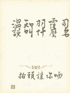 温知羽霍司砚小说叫什么名字