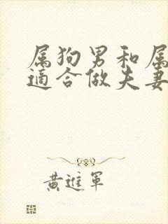 属狗男和属虎女适合做夫妻吗