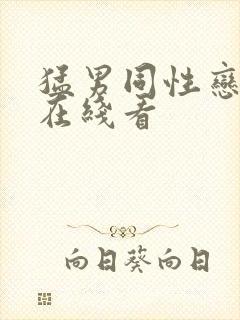 猛男同性恋视频在线看