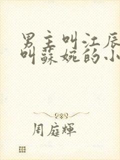 男主叫江辰女主叫苏婉的小说