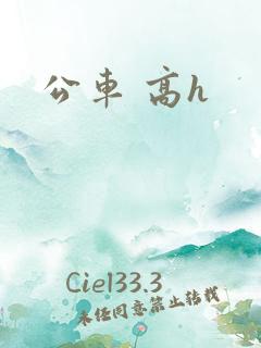 公车 高h