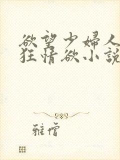 欲望少妇人妻疯狂情欲小说