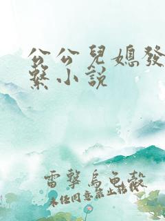公公儿媳发生关系小说