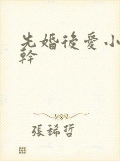 先婚后爱小说高干