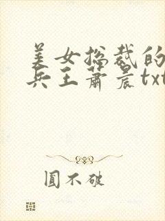 美女总裁的全能兵王萧晨txt