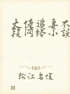 大佬追妻不择手段网络小说