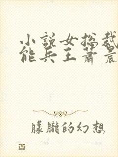 小说女总裁的全能兵王萧晨免费