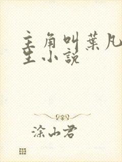 主角叫叶凡的重生小说