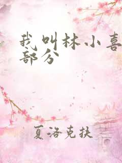 我叫林小喜第二部分