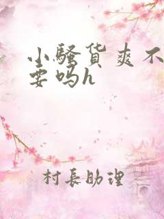 小骚货爽不爽想要吗h