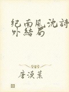 纪南风沈诗澜番外结局